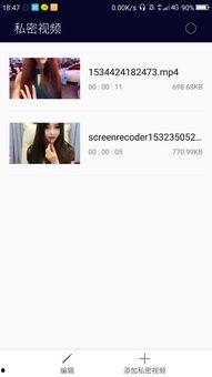 隐私在线视频,守护个人隐私的数字防线