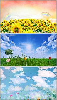 春天在哪里在线视频,跟随春天在哪里探寻万物复苏之美