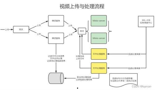 在线视频系统需求分析,需求分析与解决方案概述