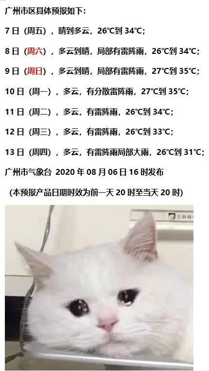 热热偶在线视频