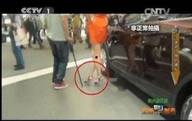 旱厕 偷拍 在线视频